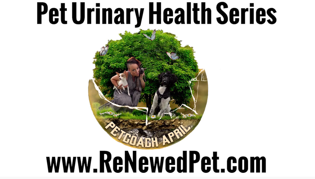 Pet Urinary Health Video Series Compilation