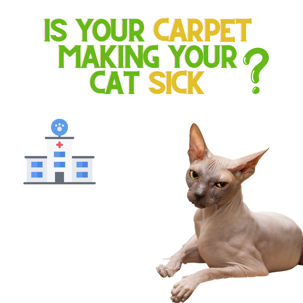 Is your Carpet Making your Pet Sick?