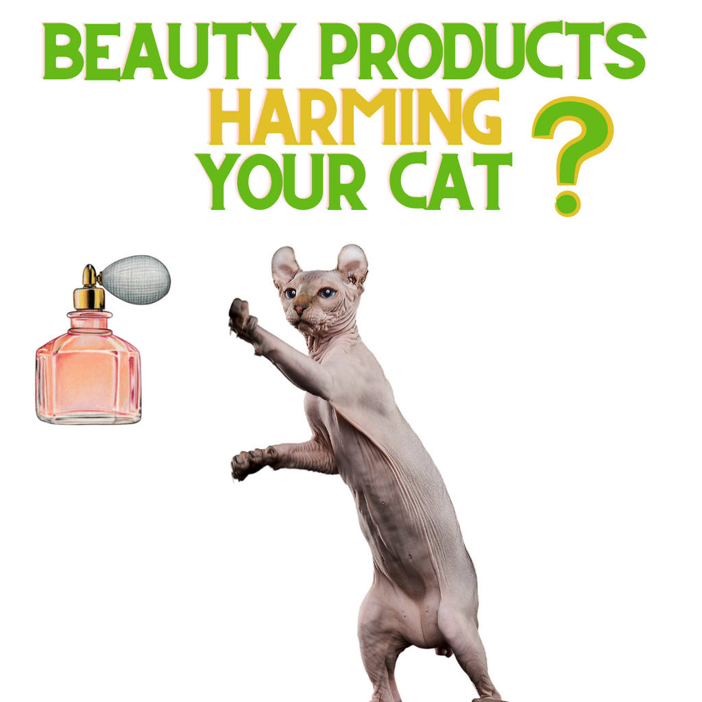 Are your Beauty Products Harming your Pets?