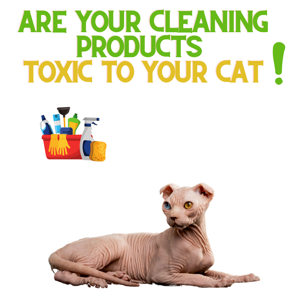 Are your Cleaning Products Toxic to your Pet?