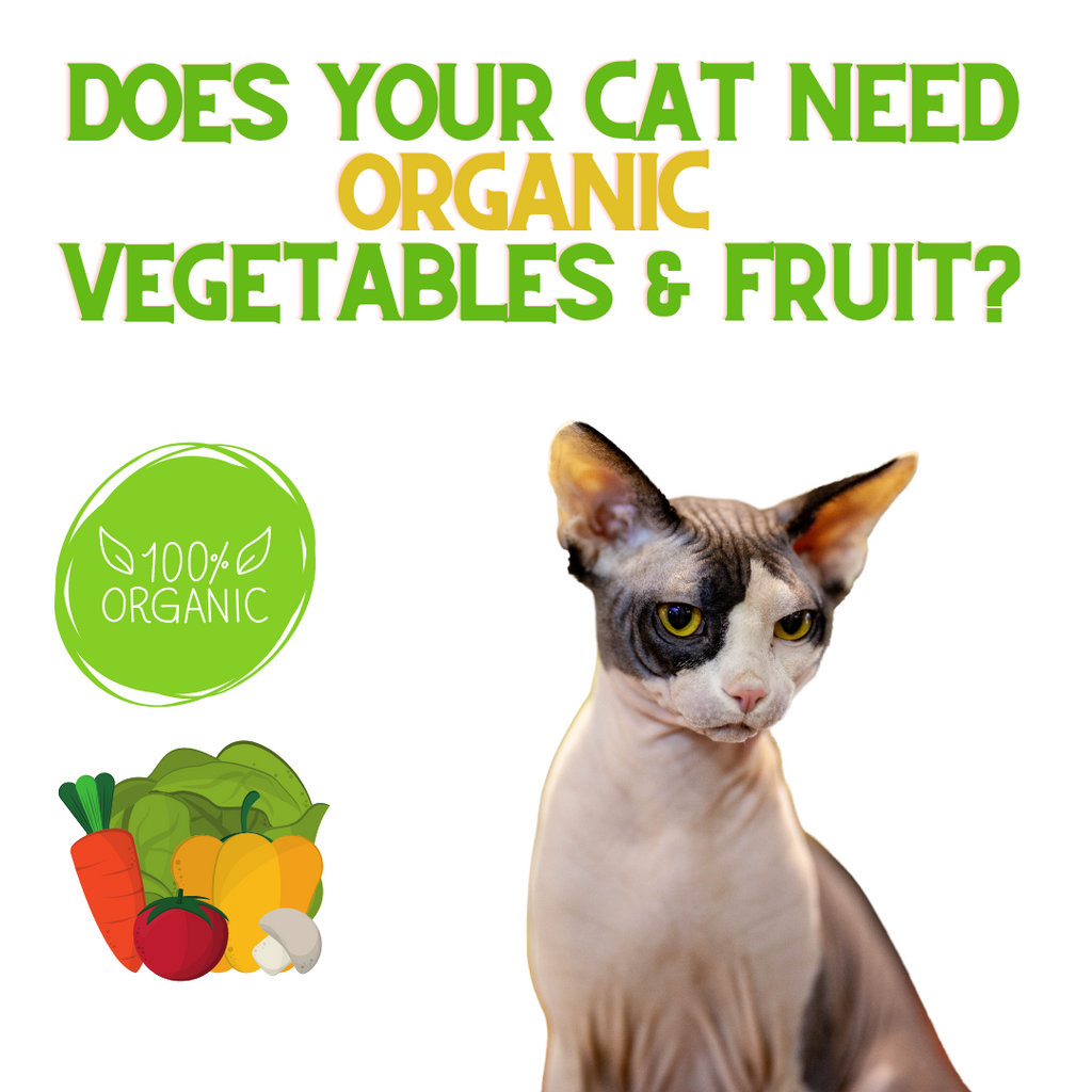 Does your Pet need ORGANIC Fruits & Vegetables?