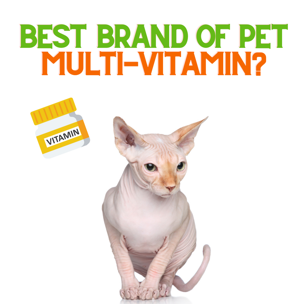 Best Brand of Pet Multi-Vitamin?