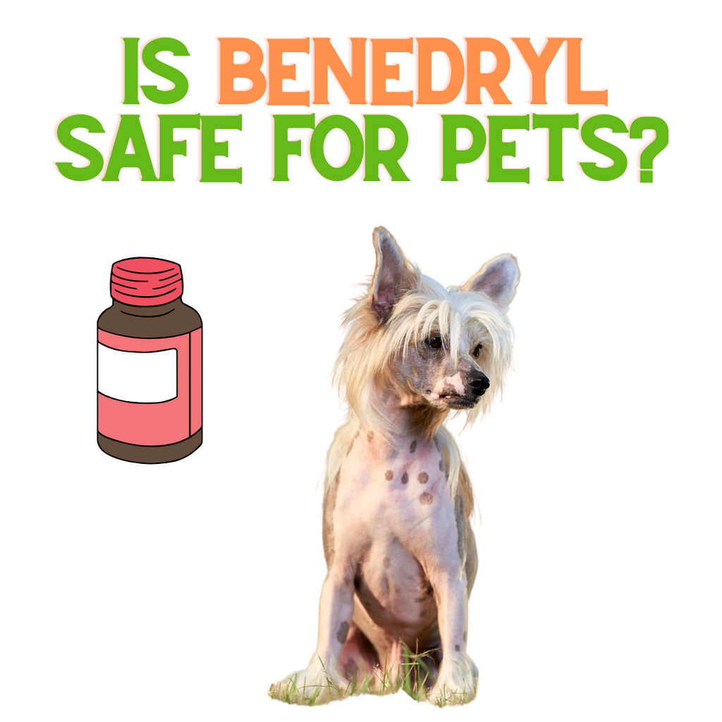 Is Benedryl Safe for my Pets?