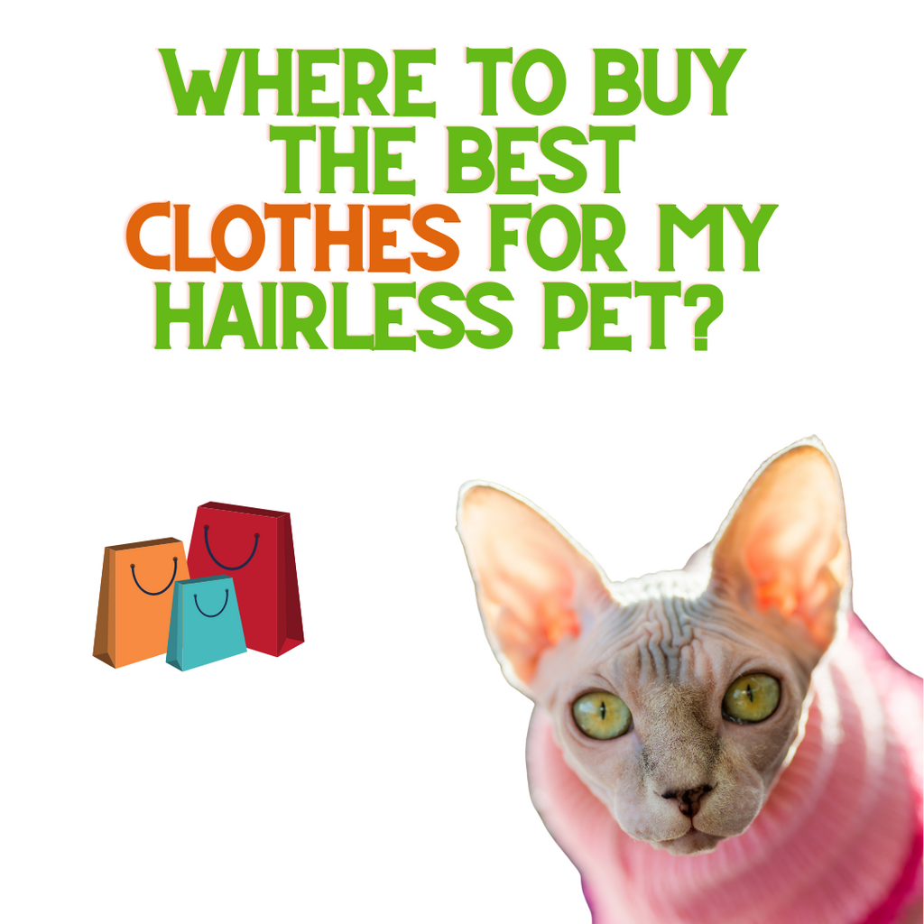 Best Places to Buy Clothes for Your Hairless Pets!