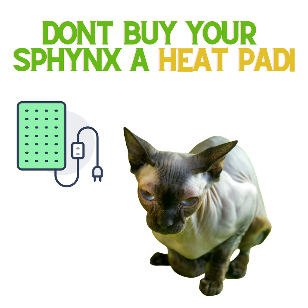 Don't Buy your Sphynx a Heat Pad!