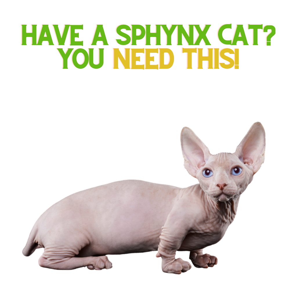 Have a Sphynx Cat? You NEED This!
