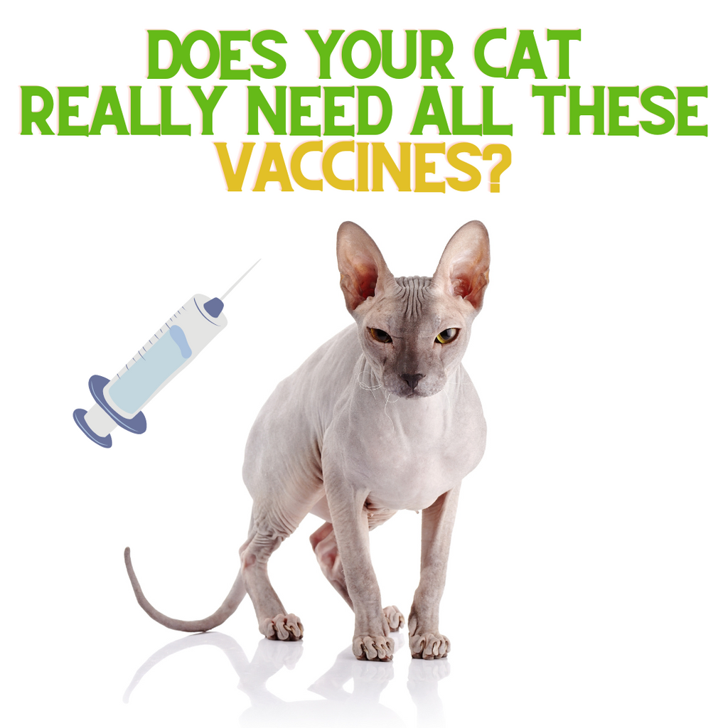 Does My Cat Need ALL These Vaccines??