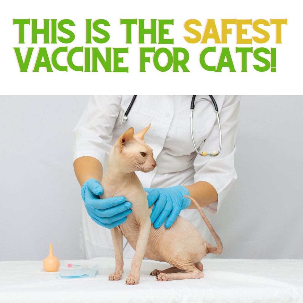 The Safest Vaccine for your Cats!