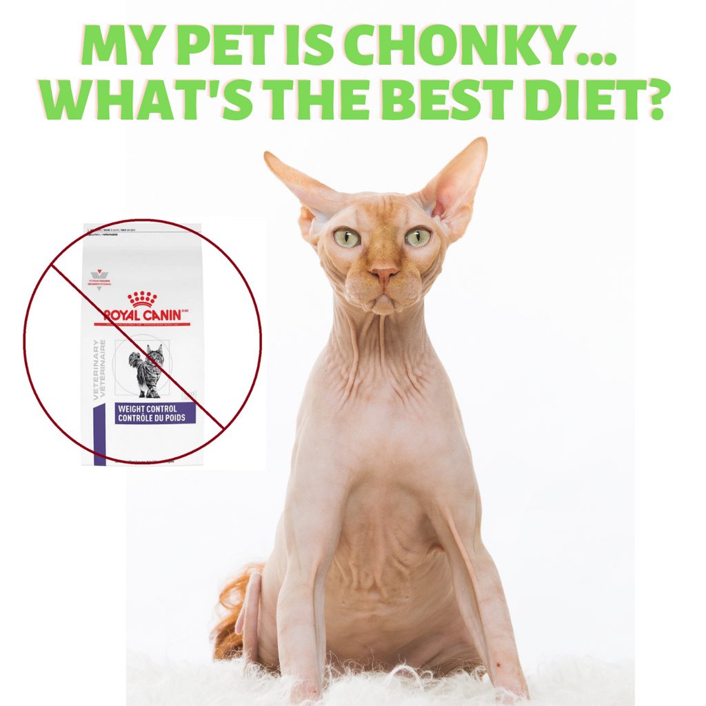 How to 'De-Chonk' your Pet!