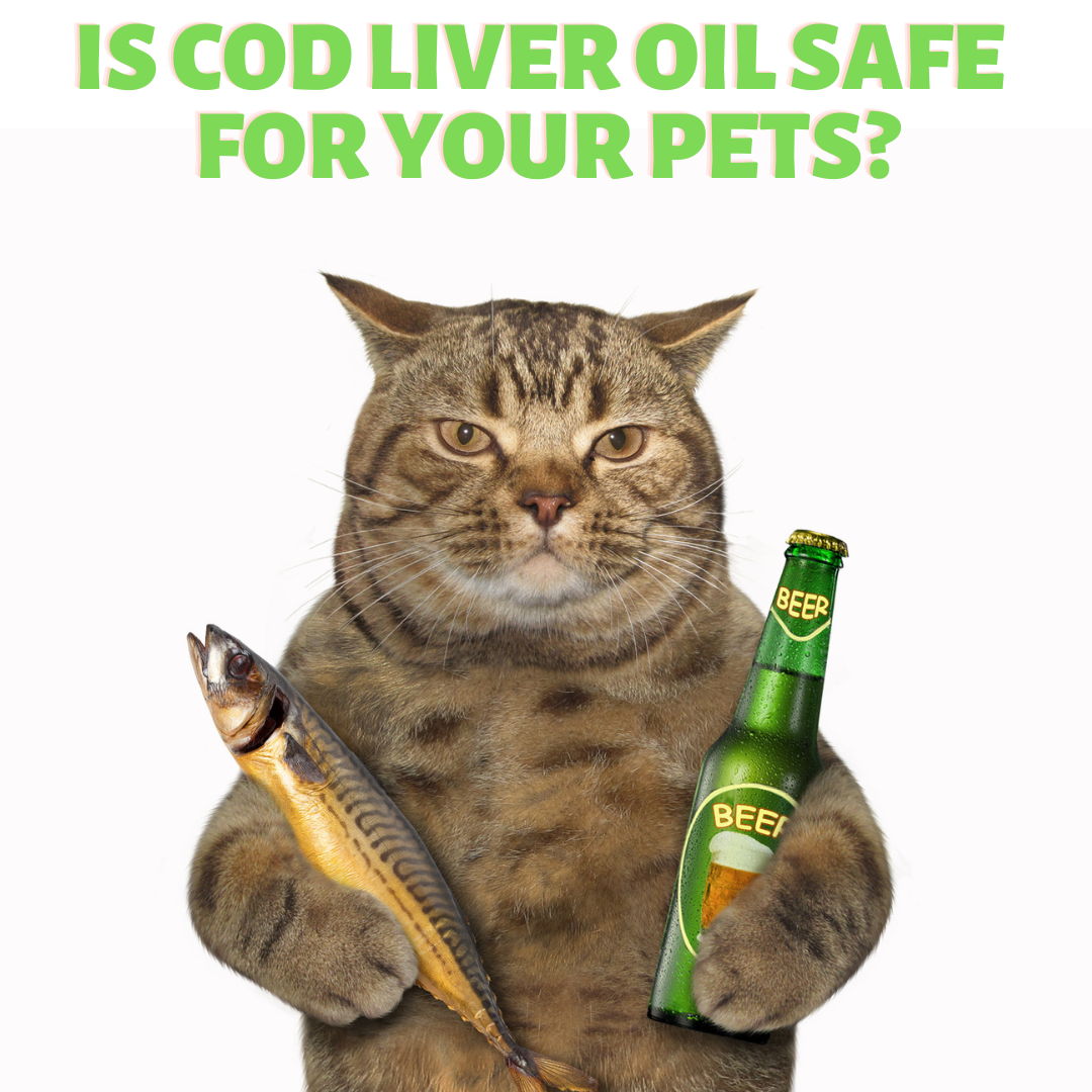 Cod liver shop oil for animals