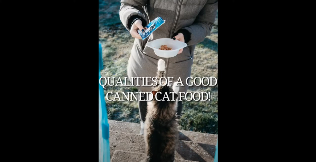 QUALITIES OF A GOOD CANNED CAT FOOD!