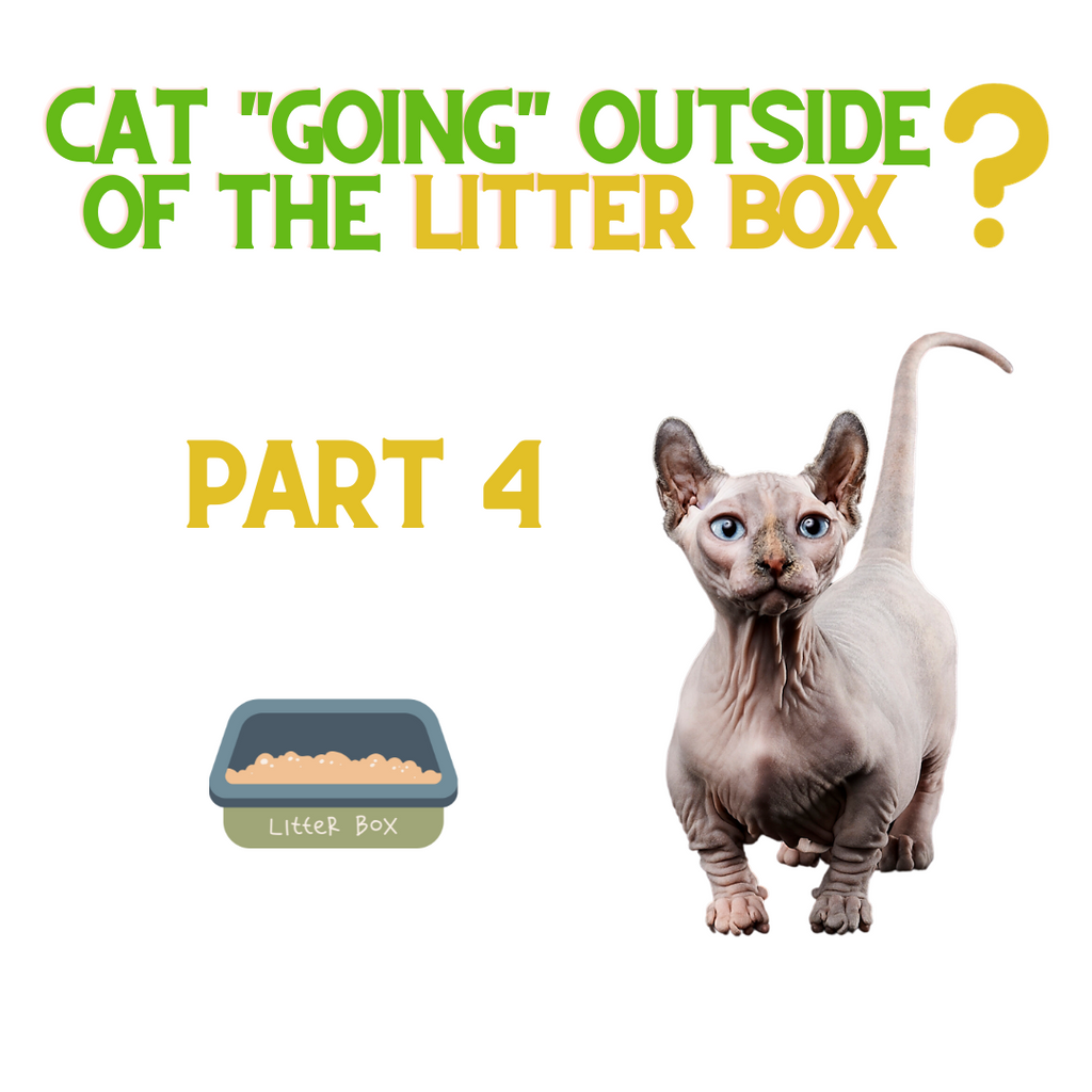 If Your Cat is NOT Using the Litter Box - Do THIS! Part 4...