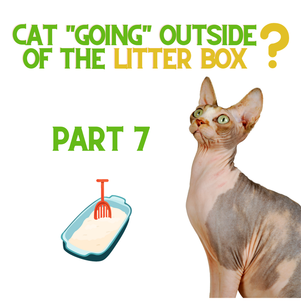 If Your Cat is NOT Using The Litter Box - Do THIS! Part 7...
