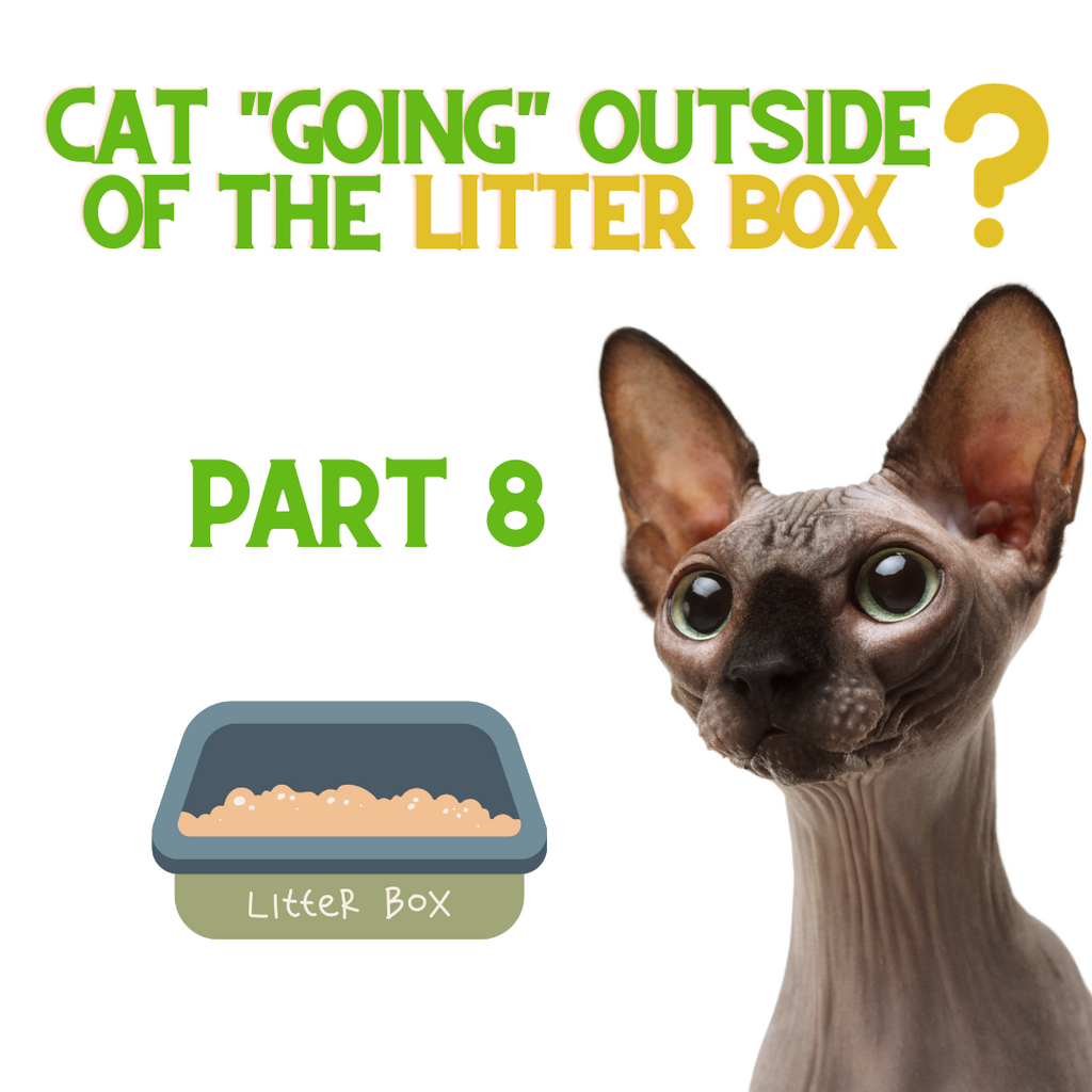 If Your Cat is NOT Using The Litter Box - Do THIS! Part 8...