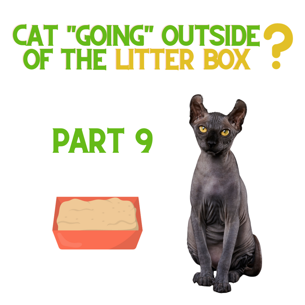 If Your Cat is NOT Using the Litter Box - Do THIS! Part 9...