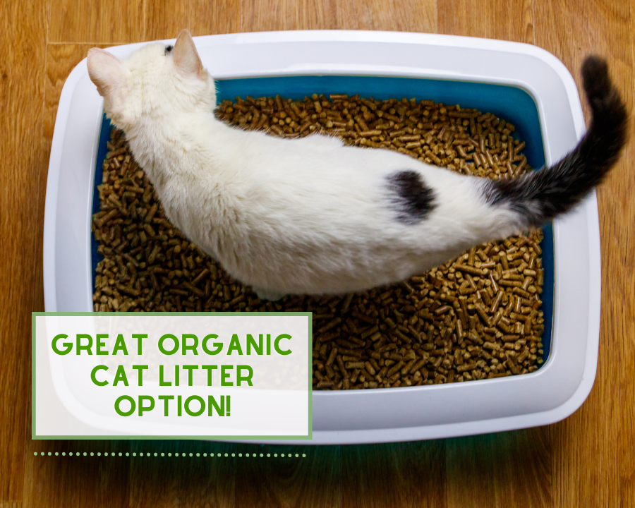 Great Organic Cat Litter Option!