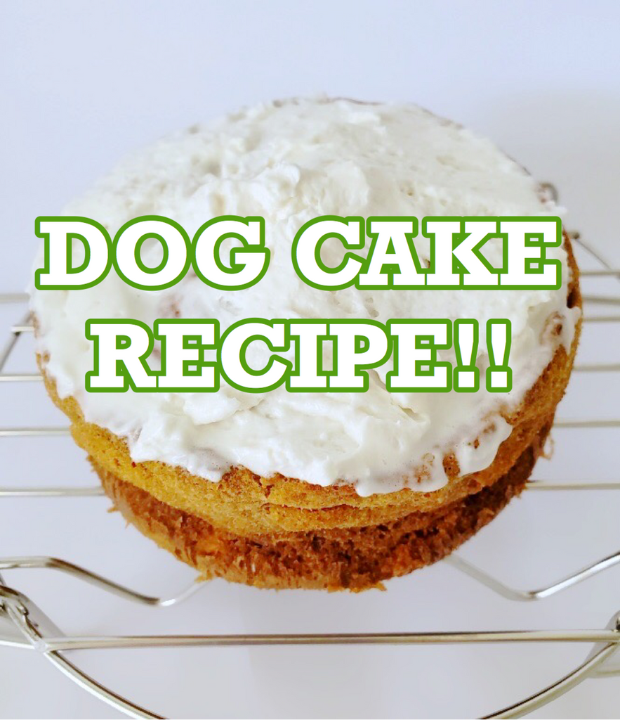 HEALTHY DOG CAKE RECIPE!