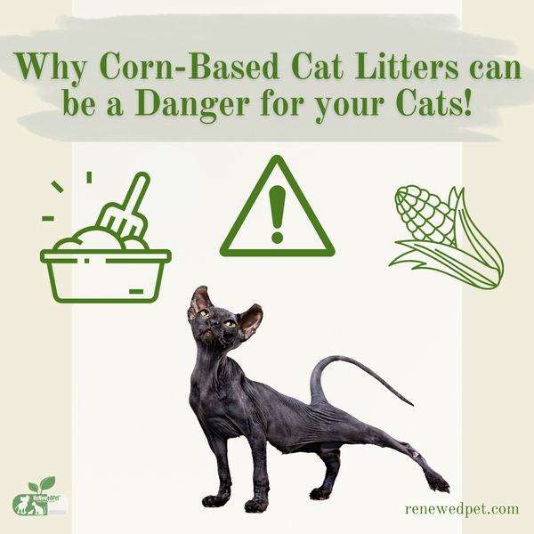 Why Corn-Based Cat Litter Can Be a Danger For Your Cats!