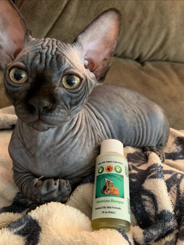 The Product I wish EVERY Hairless pet owner knew of!