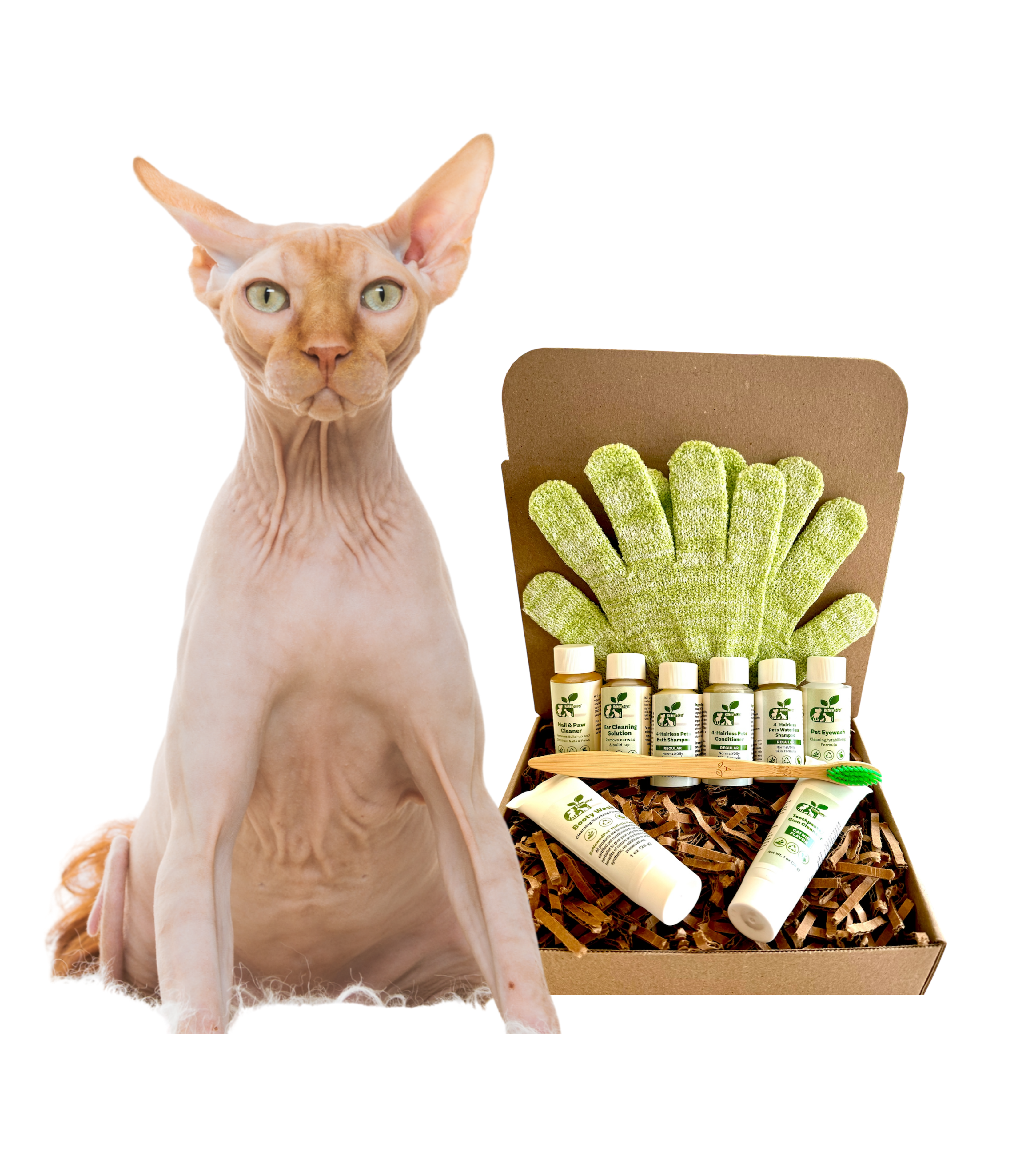4-HAIRLESS PETS *CAT REGULAR KIT