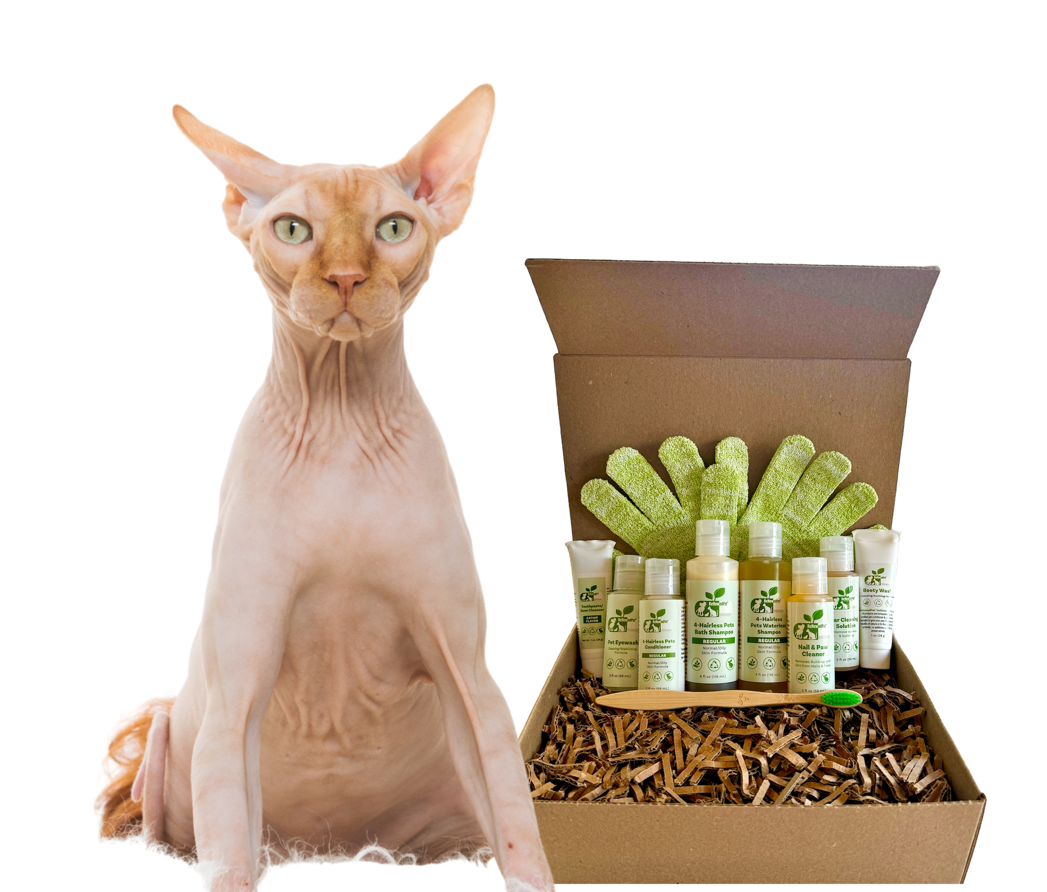 4-HAIRLESS PETS *CAT REGULAR KIT
