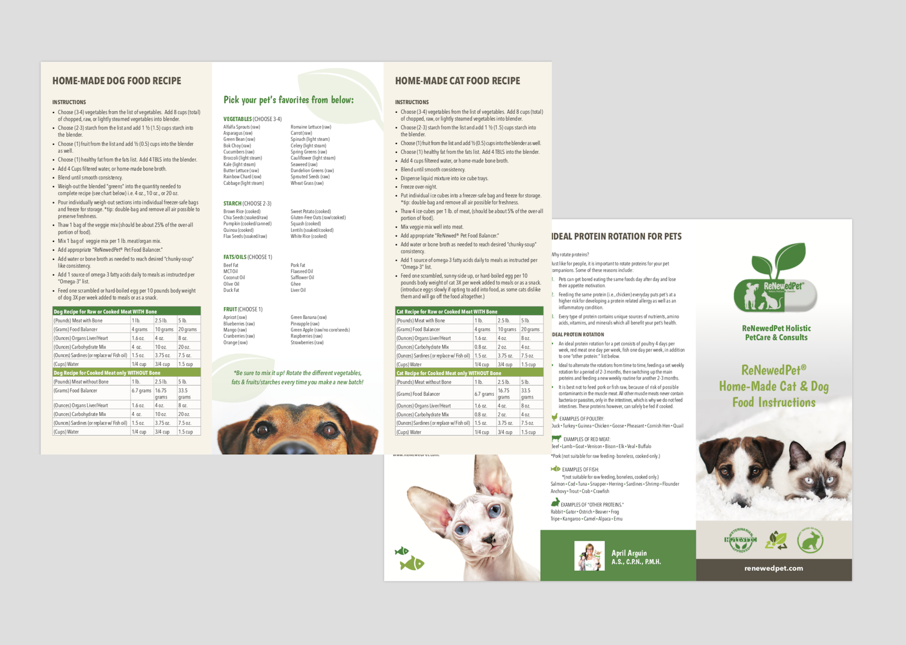 Homemade Pet Food Recipe Pamphlet ReNewedPet