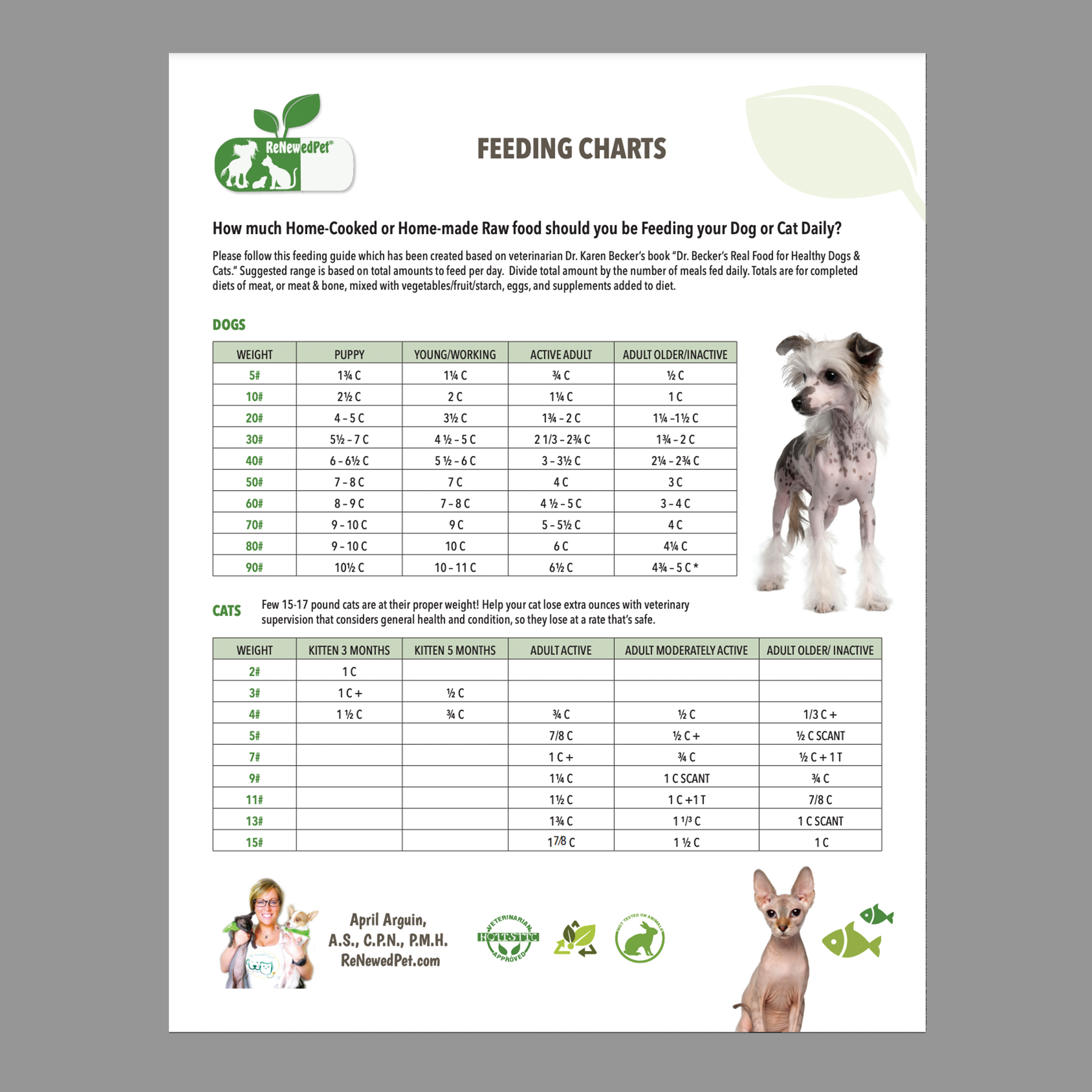 Canidae puppy top food feeding chart